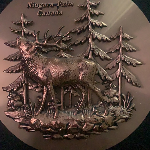 🔵 Niagara Falls Plaque - Picture 2 of 7